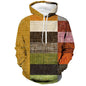 3D Graphic Pattern Plaid Color Blocking Casual Hoodies