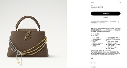2026 Classic Everyday Bag-261018